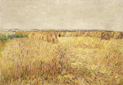 Corn Fields in front of a Chain of Sand Dunes by Paul Baum